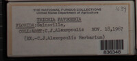 Image Associated With the Occurence